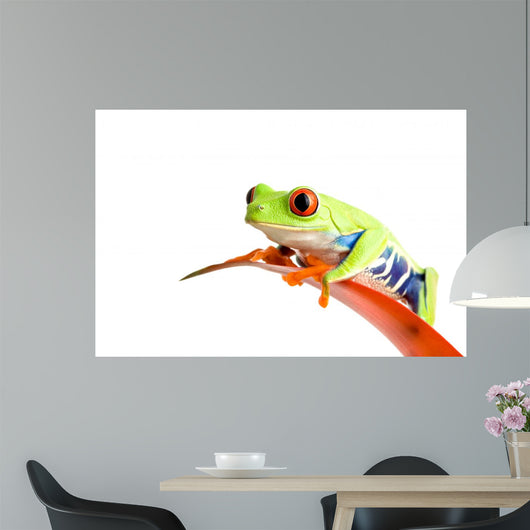 Frog Guzmania Wall Decal