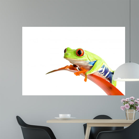 Frog Guzmania Wall Decal