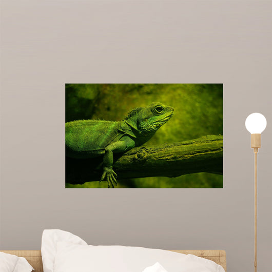 Iguane Wall Decal