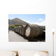 Weinfasser Der Bodega La Wall Decal