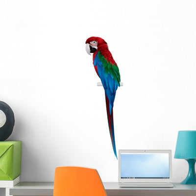 Parrot Red-and-green Macaw Wall Decal shown on a wall