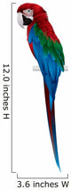 Parrot, Red-and-green Macaw Wall Decal