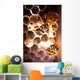 Hornets Nest