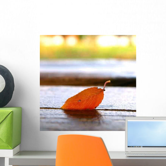 Fallen Leaves Wall Decal