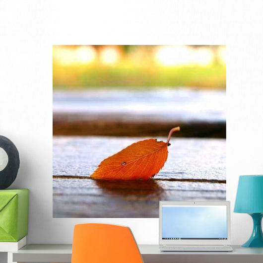 Fallen Leaves Wall Decal