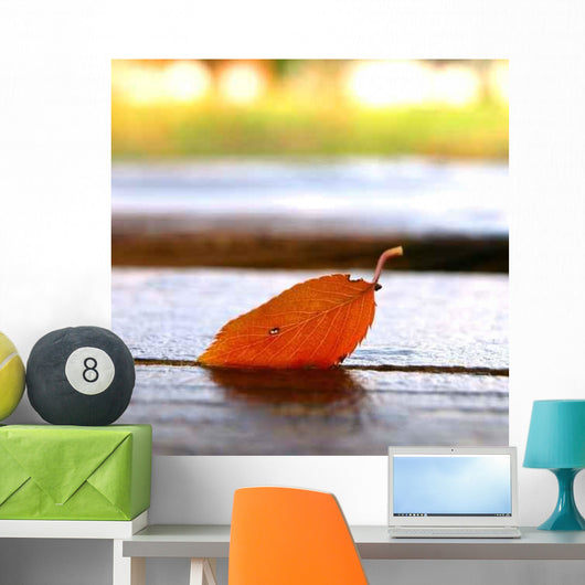 Fallen Leaves Wall Decal