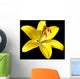 Vector photo-realistic vivid yellow lily isolated on black Wall Mural