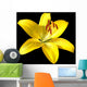 Vector photo-realistic vivid yellow lily isolated on black Wall Mural