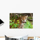Wild panther in the jungle of Jucatan in Mexico Wall Mural