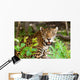 Wild panther in the jungle of Jucatan in Mexico Wall Mural