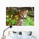 Wild panther in the jungle of Jucatan in Mexico Wall Mural