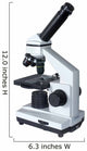 Microscope