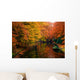 Wall Mural