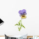 Wild Pansy