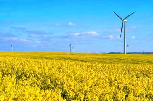 Windmill Yellow Meadow Wall Decal