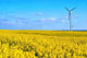 Windmill Yellow Meadow Wall Decal