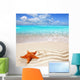caribbean tropical beach white sand starfish shell Wall Mural