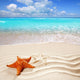 caribbean tropical beach white sand starfish shell Wall Mural