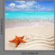 caribbean tropical beach white sand starfish shell Wall Mural