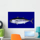 Bluefin Tuna Blue Wall Mural
