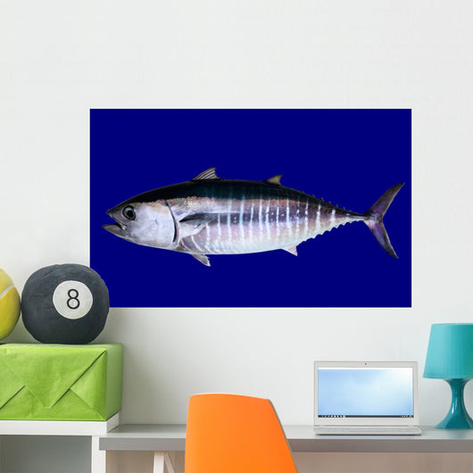 Bluefin Tuna Blue Wall Mural