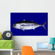 Bluefin Tuna Blue Wall Mural
