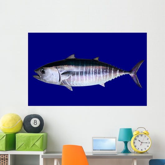 Bluefin Tuna Blue Wall Mural