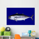 Bluefin Tuna Blue Wall Mural