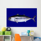 Bluefin Tuna Blue Wall Mural