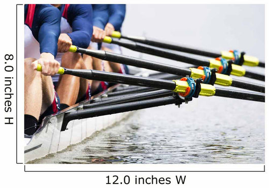 Close up of men's rowing team Wall Mural