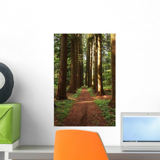Straight Path Wall Decal
