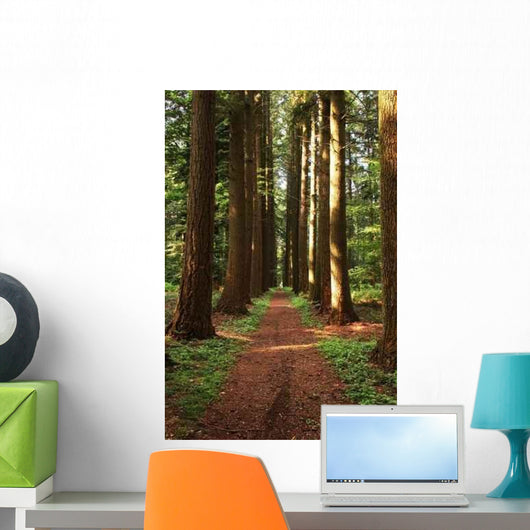 Straight Path Wall Decal