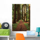 Straight Path Wall Decal