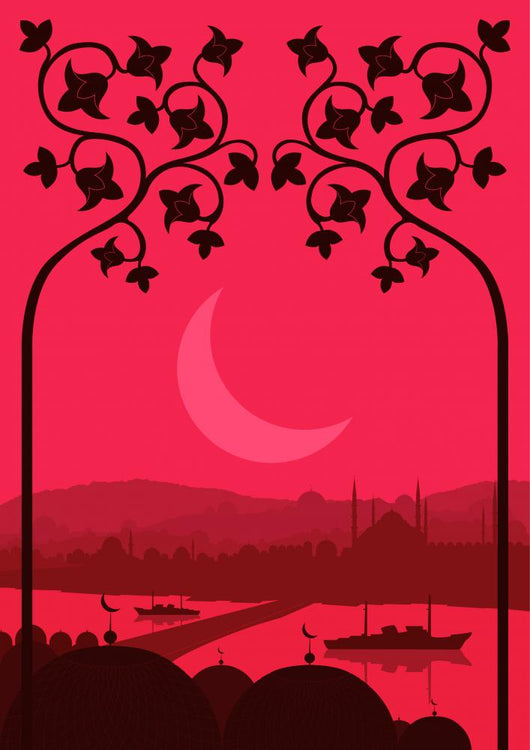 Vintage Turkish City Istanbul