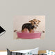 Chihuahua Puppy Taking a Bath Wall Mural