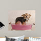 Chihuahua Puppy Taking a Bath Wall Mural