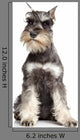 Miniature Schnauzer White