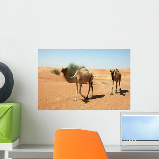 Camel Trail Wall Decal