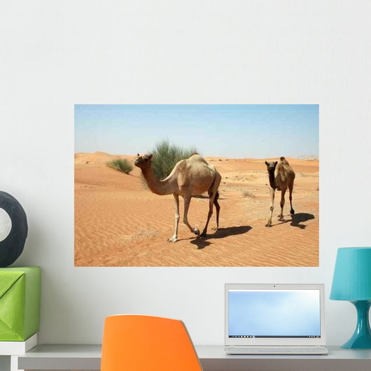 Camel Trail Wall Decal