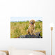 Golden Retriever Puppy Wall Mural