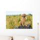 Golden Retriever Puppy Wall Mural