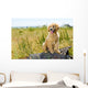 Golden Retriever Puppy Wall Mural