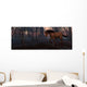 Ls-65b Wall Mural