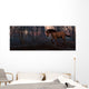 Ls-65b Wall Mural