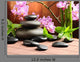 Spa Concept Wall Mural