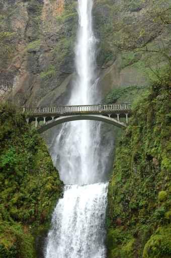 Multnomah Falls Wall Decal