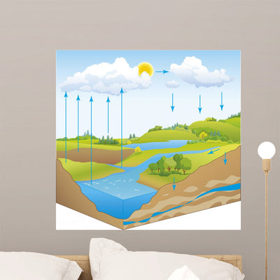 Schematic Natural Water Cycle Wall Mural shown on a wall
