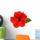 Red Hibiscus Flower White Wall Decal