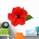 Red Hibiscus Flower White Wall Decal