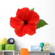 Red Hibiscus Flower White Wall Decal